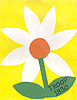 daisy_scrapbook_small.gif (6187 bytes)