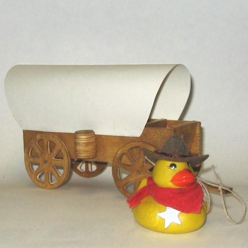 Cowboy Duck