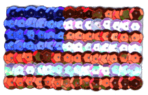 flag_sequin.gif (22348 bytes)