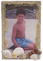 frame_shells.gif (25962 bytes)