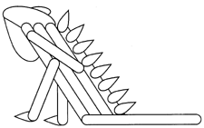 iguana_pattern.gif (7416 bytes)