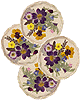 mom_coasters_small.gif (6673 bytes)