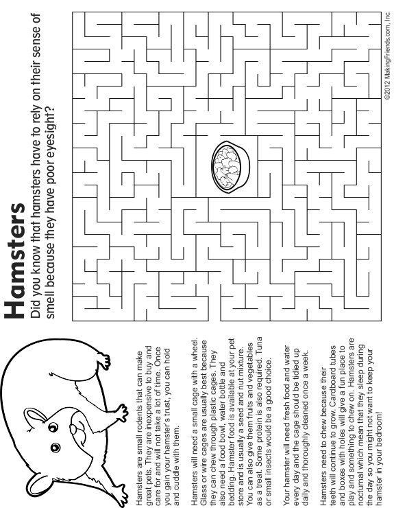 Pet Hamster, Fact and Coloring Page
