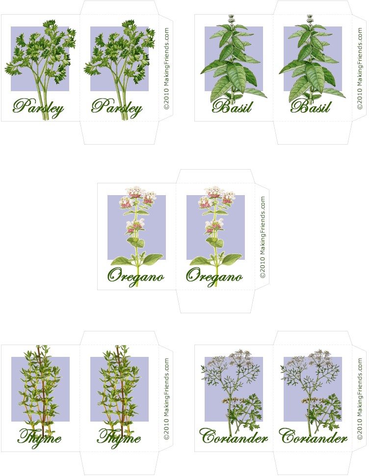 Herb Seed Packs Printable