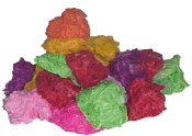 tissuesculpture.gif (12524 bytes)