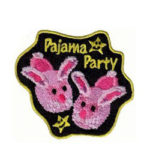 Junior Girl Scout Bronze Award Project Pajama Party