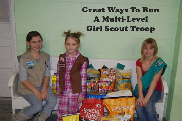 Should Girls Earn Scout Fun Patches Without Attending Events - Scout Leader  411 Blog