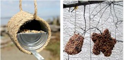 Recycled_bird-feeder