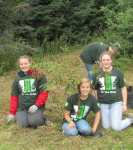 TD Trees 17th Cornwall Rangers