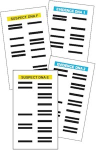 DNA Cards for the Junior Detective Badge