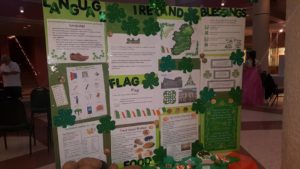 ireland-world-thinking-day-2016-troop-144117