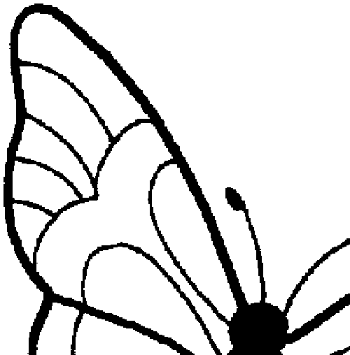 butterfly_topleft.gif (5935 bytes)