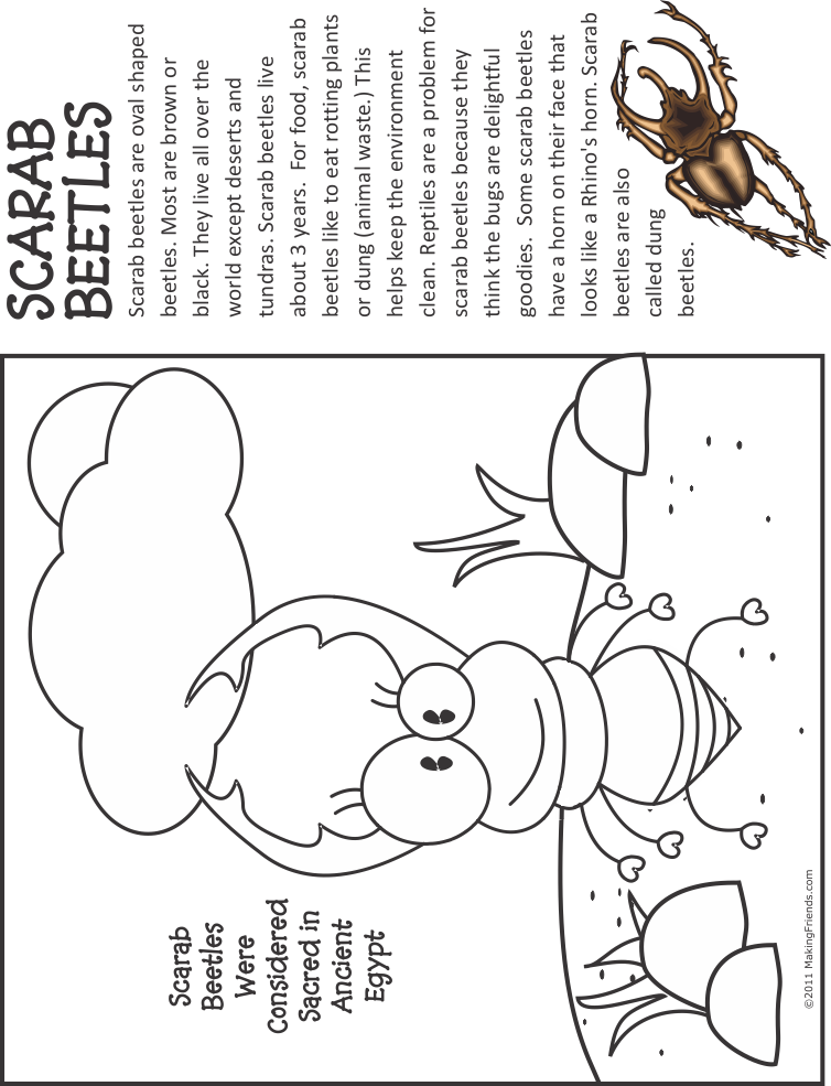 Scarab Beetle Coloring Page