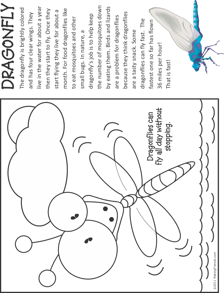 Bug Coloring Page | Dragonfly - MakingFriends