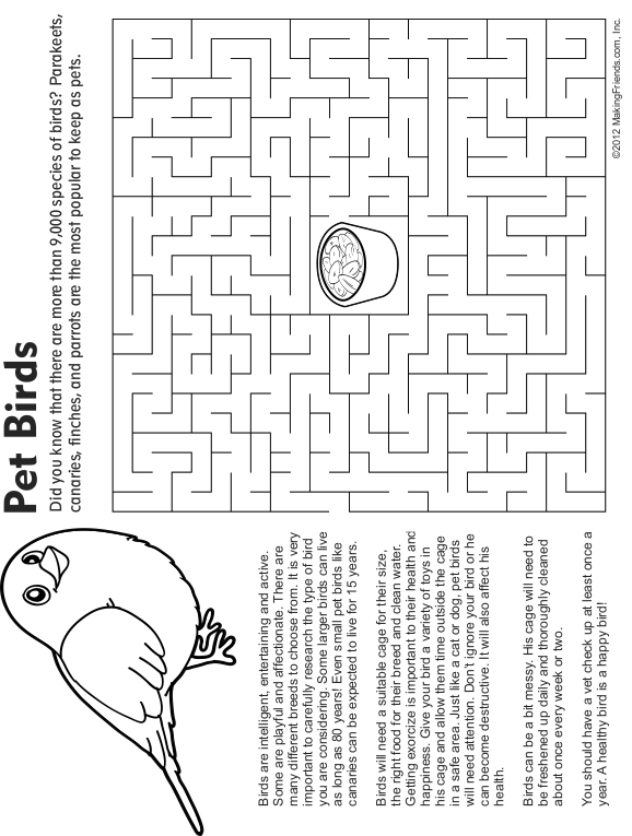 Pet Bird Maze, Fact and Coloring Page