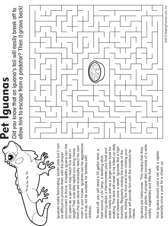 Pet Iguana, Fact and Coloring Page