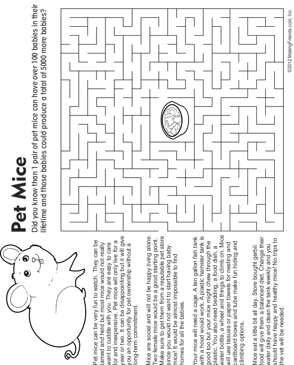 Pet Mouse Maze, Fact and Coloring Page