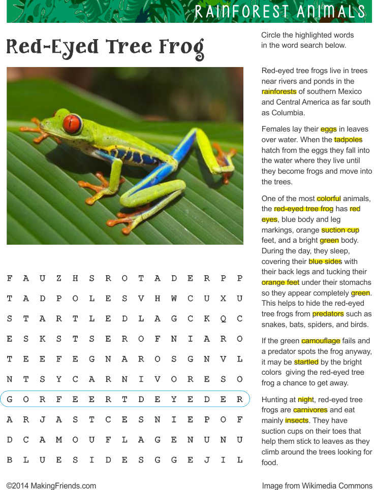 fact sheet and word search for tree frog