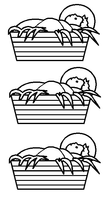 Baby Jesus Friends outline