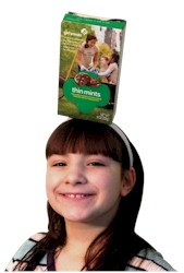 Girl Scout Cookie Box Craft