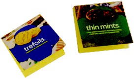 Girl Scout Cookie Box Craft