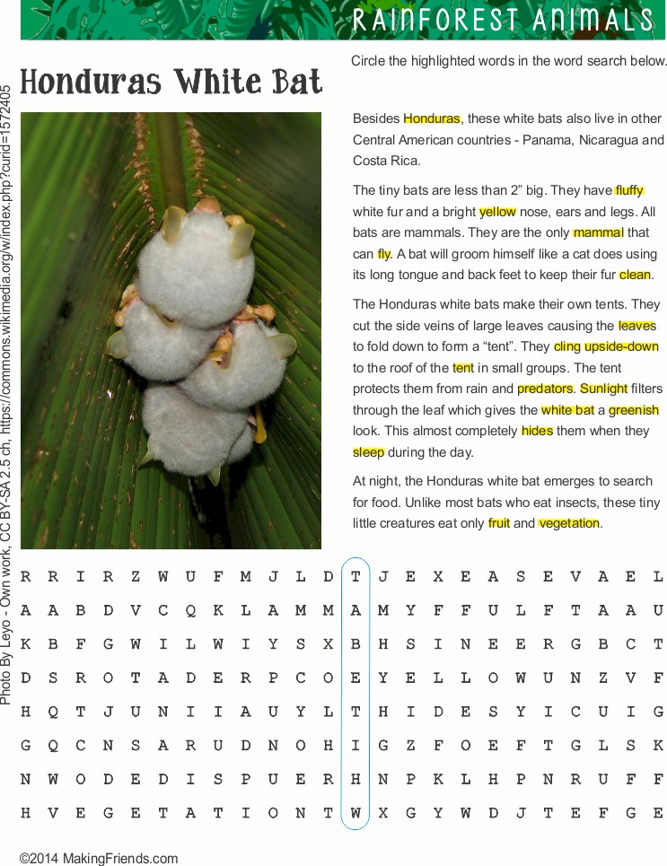 Animal Habitats Download