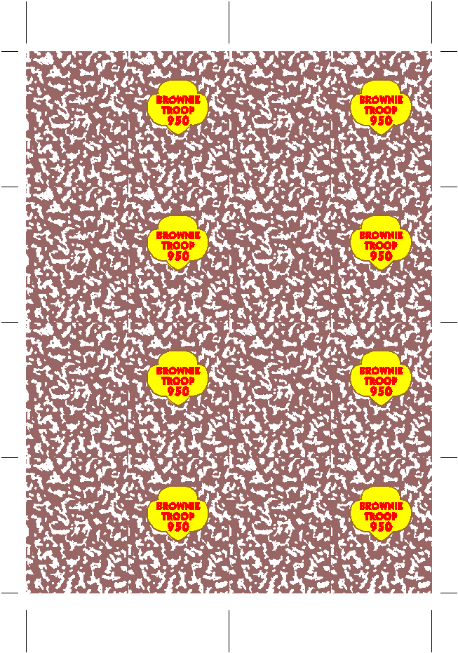 Swapping Book Cover