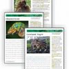 Animal Habitats Download