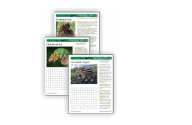 Junior Animal Habitats Word Search Badge Download