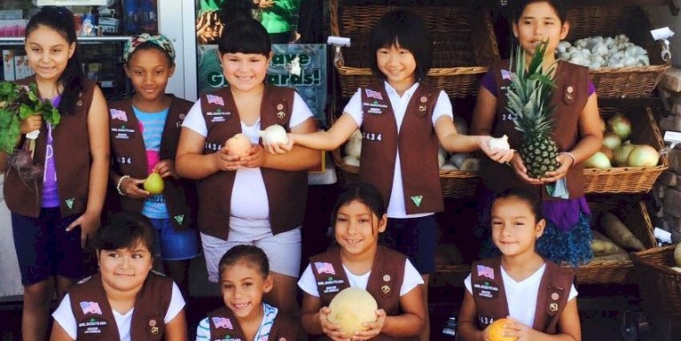 Girl Scout Brownie Badge