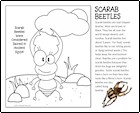 scarab-beetles
