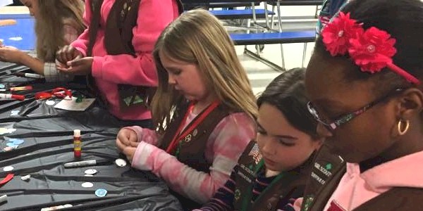 Girl Scout Brownie SWAPs