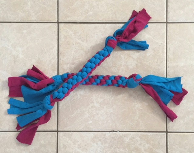 Girl Scout Recycled Tee Shirt Dog Toy craft