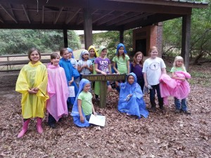 Celebrating Community Brownie Badge