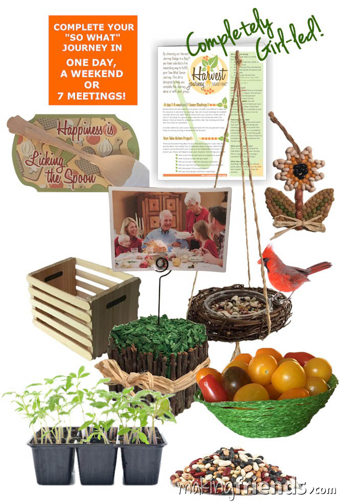 Girl Scout Harvest Badge in a Bag via @gsleader411