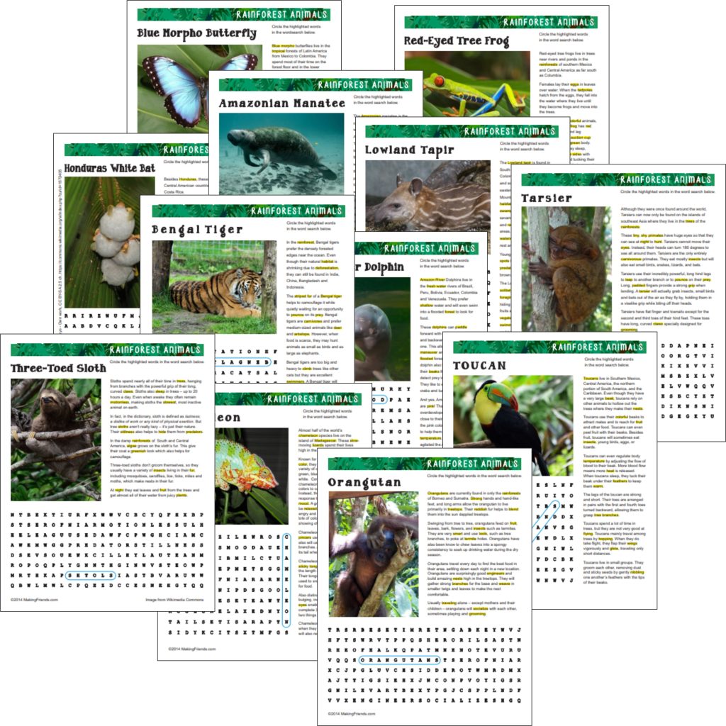 Animal Habitat Downloads for the Junior Badge