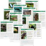 Animal Habitat Downloads for the Junior Badge