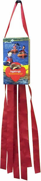 Girl Scout Cookie Box Craft