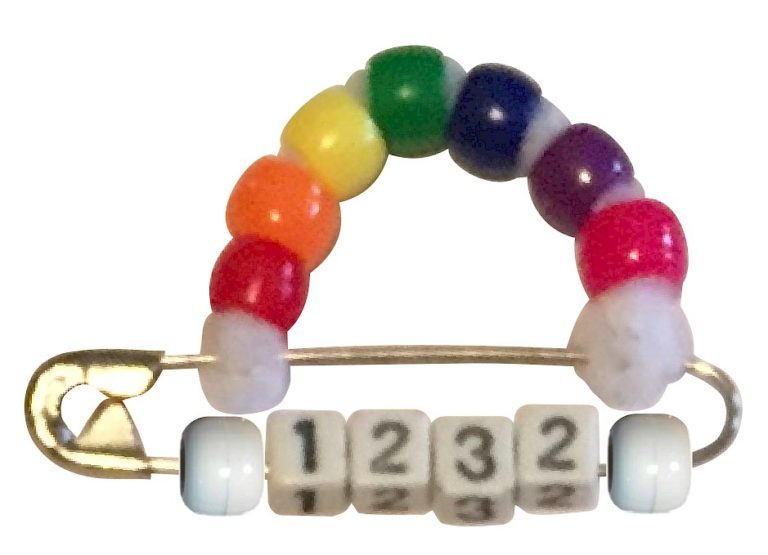 Girl Scout Bridging SWAP