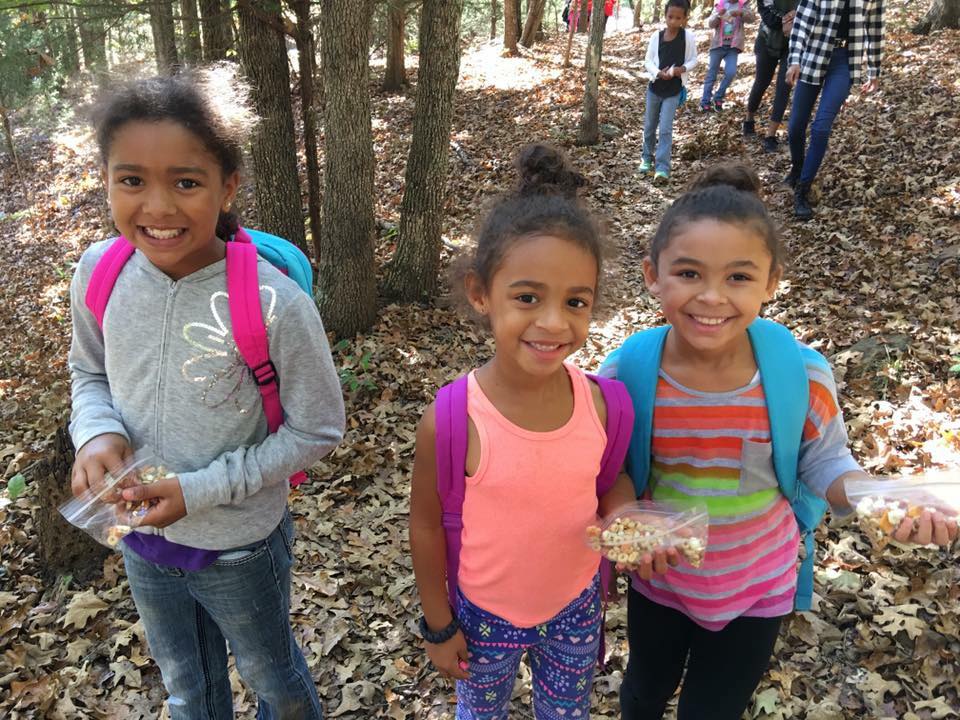 Girl Scout Brownie Hiker Badge