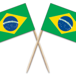 Brazil Toothpick Flags