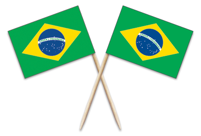 Brazil Toothpick Flags - MakingFriends