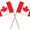 Canada Toothpick Flags