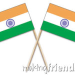 India Toothpick Flags