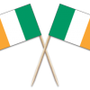 Ireland Toothpick Flags
