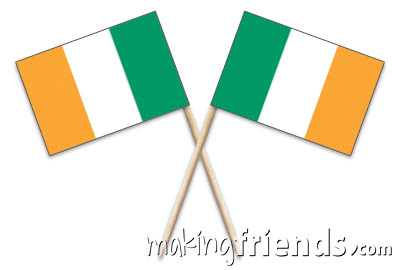 Ireland Toothpick Flags via @gsleader411