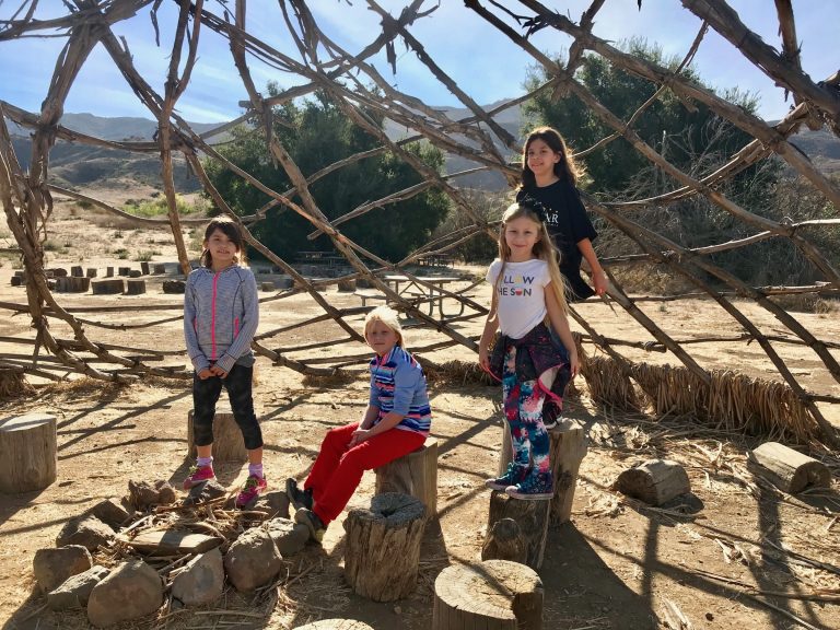 Brownie* Outdoor Adventurer Ideas