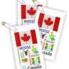 Canada Thinking Day Toothpick Flag SWAPs