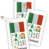 Ireland Thinking Day Toothpick Flag SWAPs