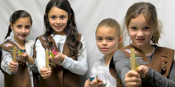 Brownie Engineering Flyer Badge